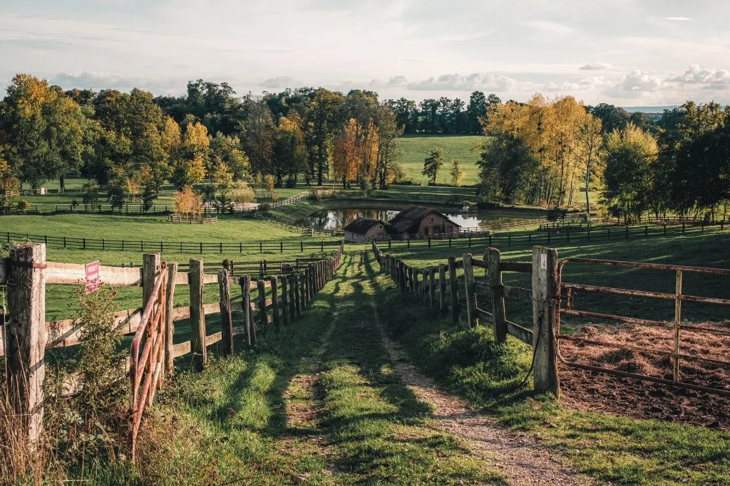 Campagne_au_Haras_du_Pin_-_Teddy_Verneuil-Orne