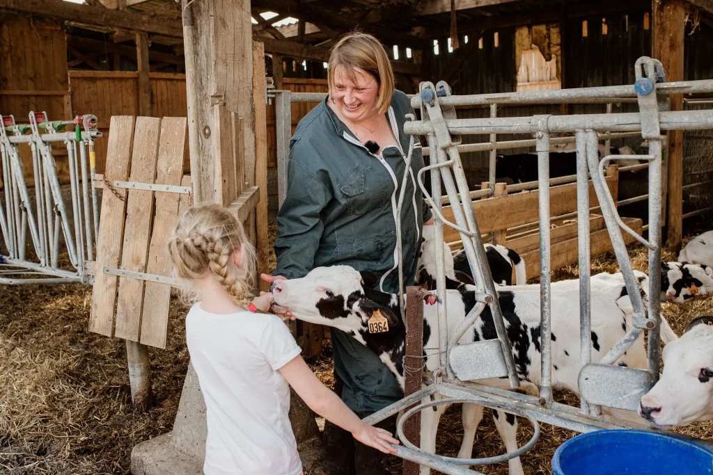 Dans_le_quotidien_d-une_ferme_du_Pays_de_Bray__la_Vache_de_Louvicamp_-_Marie-Anais_Thierry-agroalimentaire