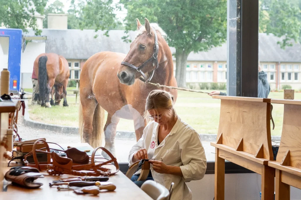 haras-du-pin-sellerie-cheval-orne