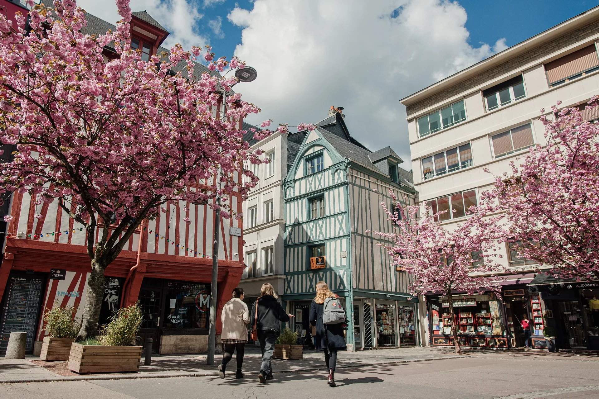 Rouen_au_printemps_-_Marie-Anais_Thierry-seine-maritime