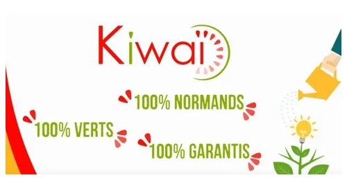 kiwai logo
