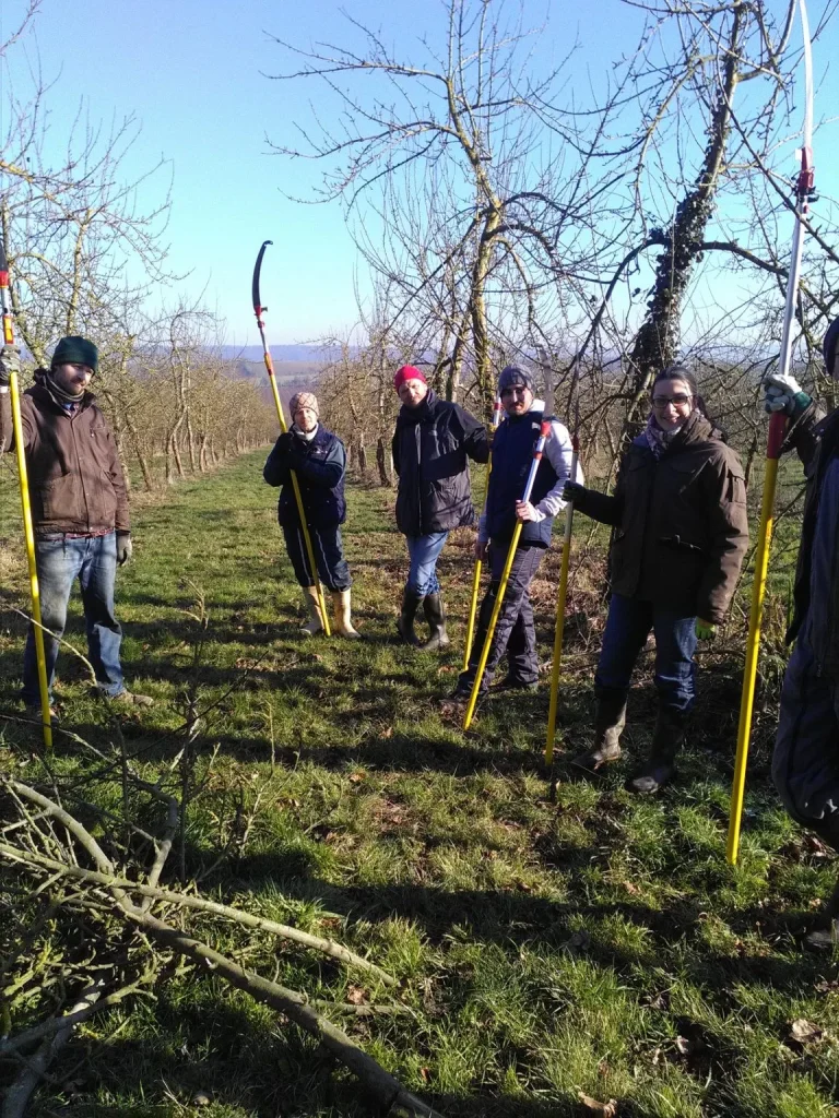  Le Robillard - Tailles de verger en groupe