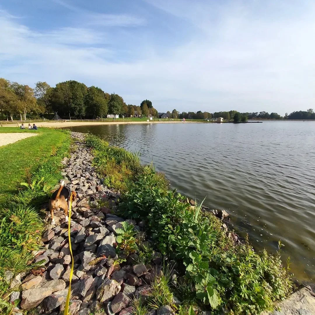 plan d'eau la ferté macé