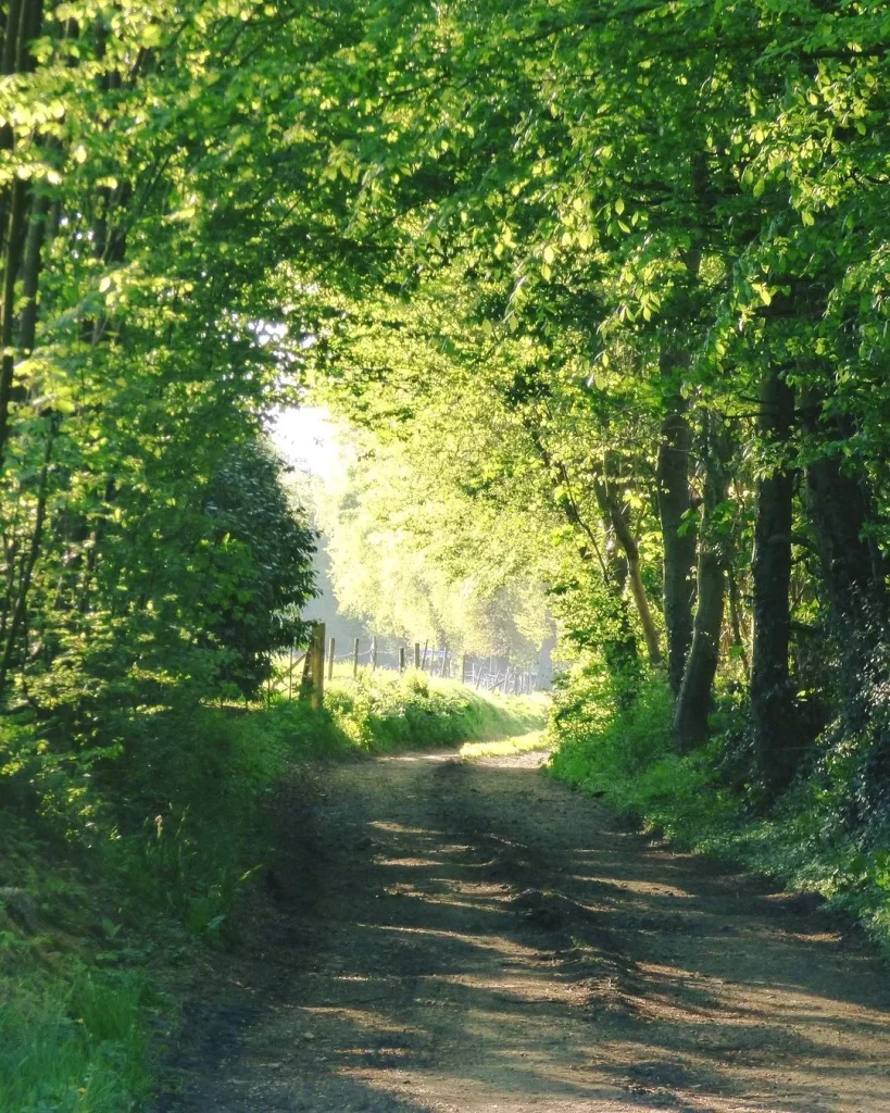 sentier yvetot