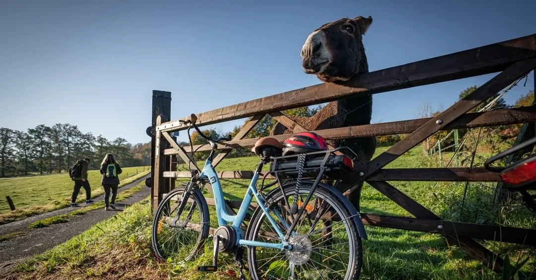 vélo et ane yvetot