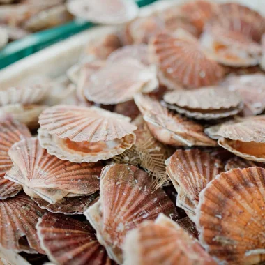 Marche_du_Neubourg__coquilles_Saint-Jaques_ agroalimentaire