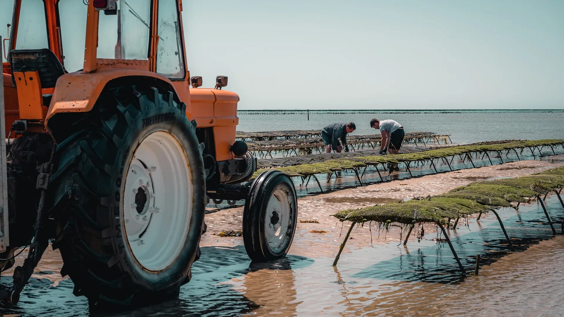 parcs-a-huitres-agroalimentaire