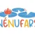 Nenufars - mondeville
