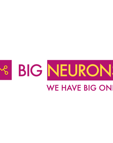 logo big neurons