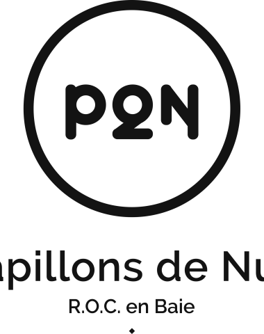 Logo Festival P2N