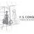 YS conseils Logo
