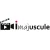 logo_imajuscule