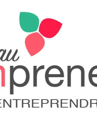 logo RESEAU MAMPRENEURS