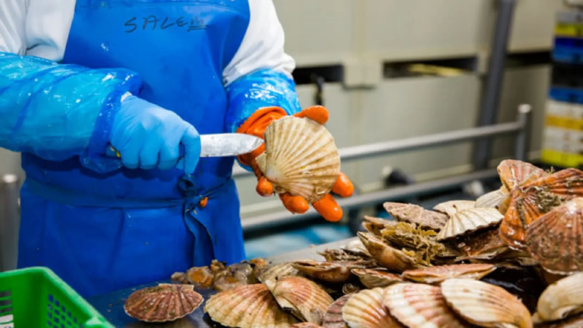 Normandie Seafood