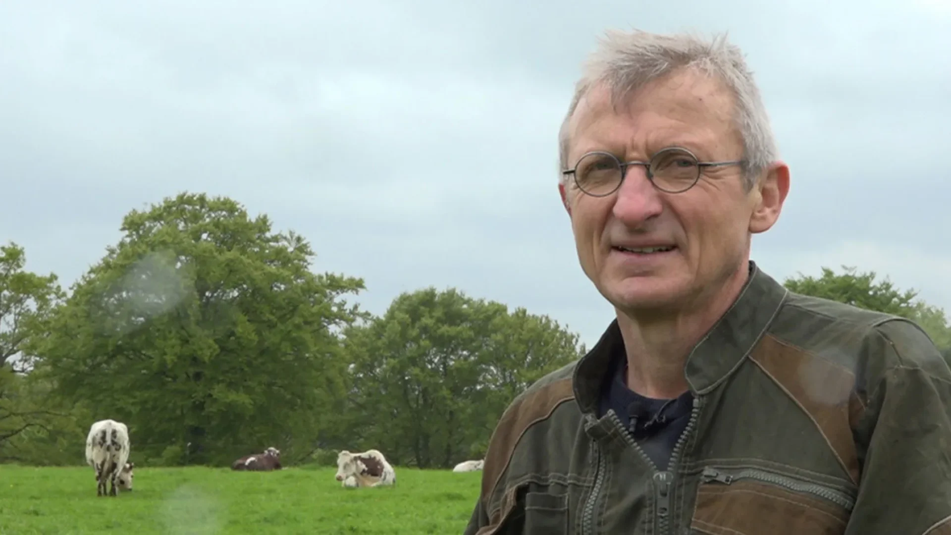 decouvrez-les-secrets-dun-camembert-normand-bio-et-aop