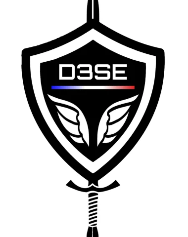 D3SE - Logo