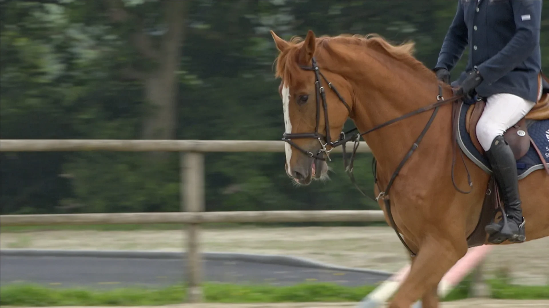 la-terre-des-chevaux-attire-des-cavaliers-internationaux