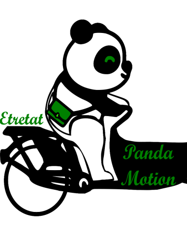 logo-panda Motion