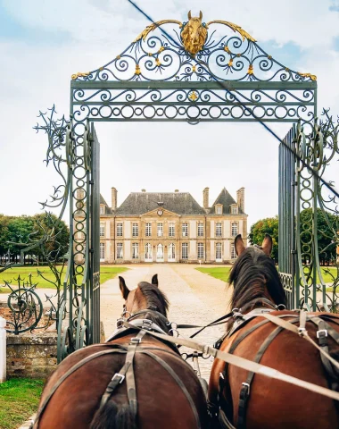 Filière équine : la Normandie, terre d’excellence du cheval