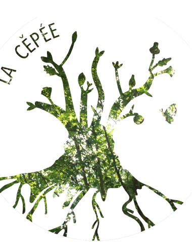 arbre-logo-La-Cepee