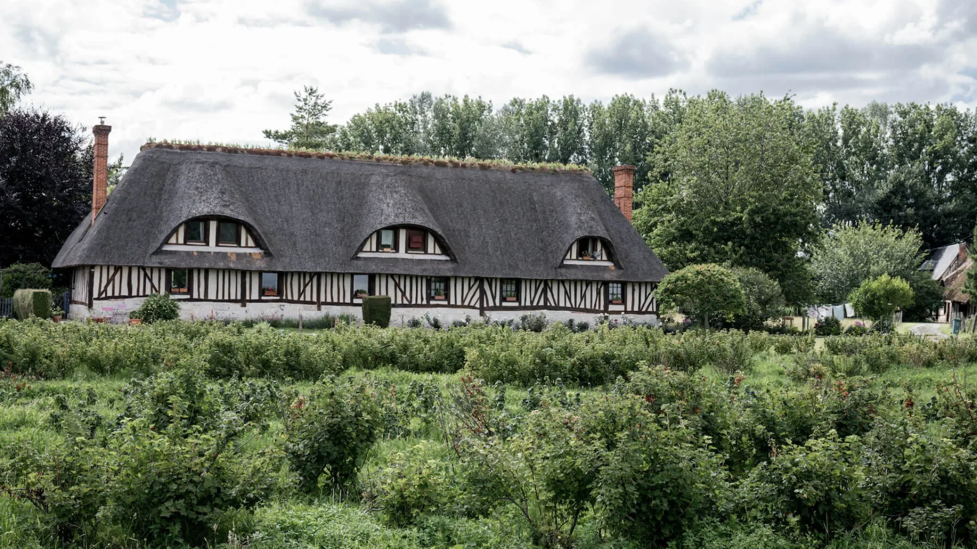 Chaumiere_et_verger_a_Heurteauville_