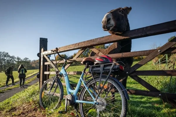 vélo et ane yvetot