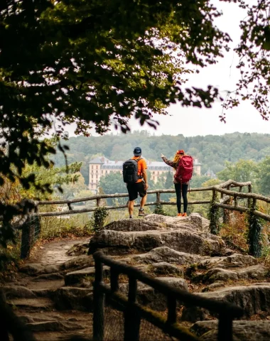 Une région, 5 territoires