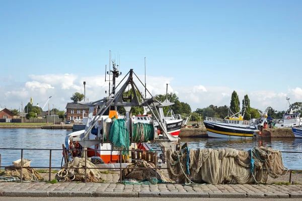 Honfleur- bateaux de pêcheurs à quai