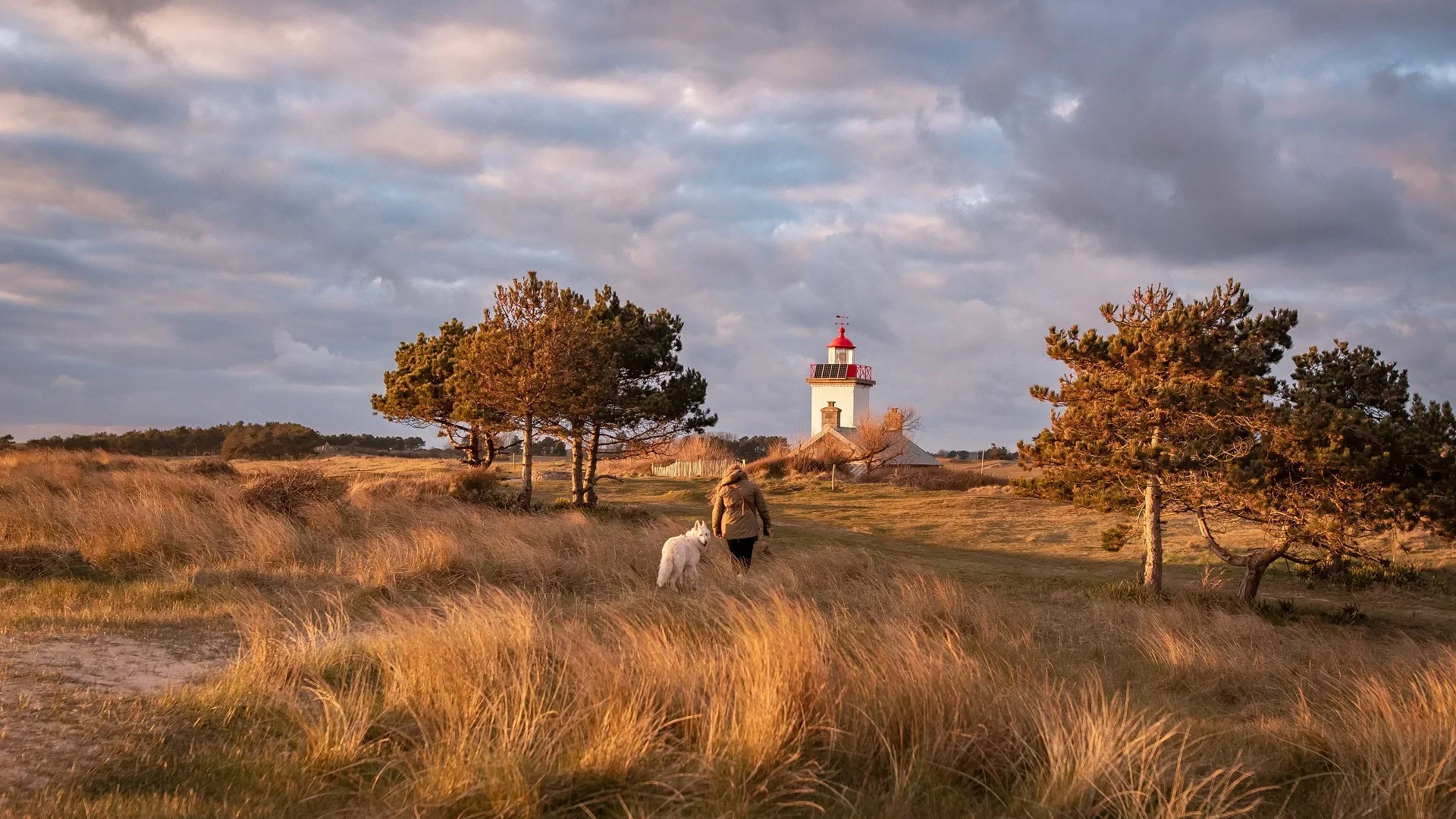Point_d_Agon__phare_et_chien__Agon-Coutainville