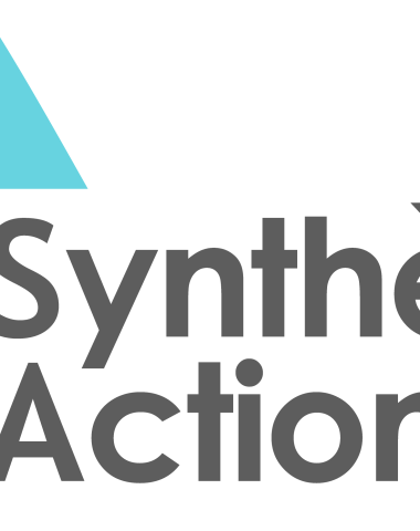 synthese action - alençon