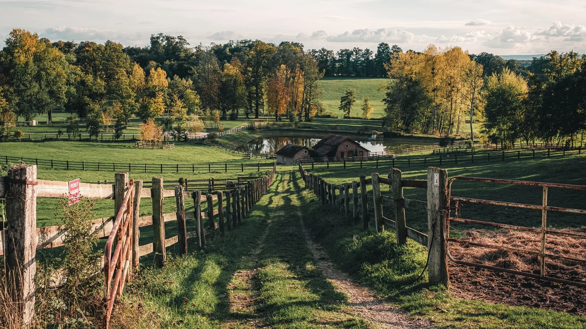 Campagne_au_Haras_du_Pin_Orne