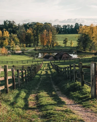 Campagne_au_Haras_du_Pin_Orne