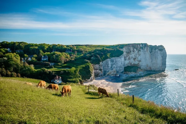 Falaises_de_la_Cote_d_Albatre seine-maritime