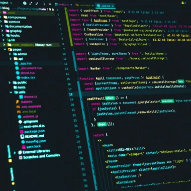 Regards croisés : le développement de solutions logicielles