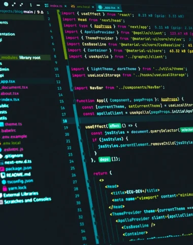 Regards croisés : le développement de solutions logicielles